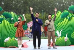 随风娱乐爆料视频大全最新,最新爆料视频大盘点