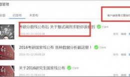 新闻投稿 爆料怎么写,揭秘真相背后的秘密与挑战