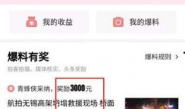 今日海南头条爆料,揭秘海南最新热点事件！